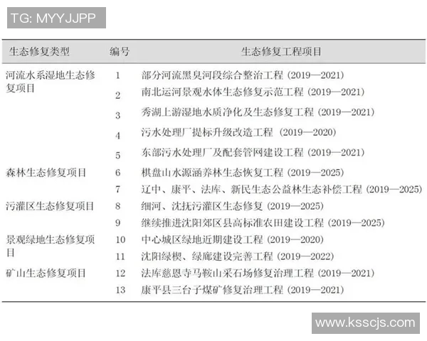 培养健康运动习惯提升体质与心理素质的综合策略探讨
